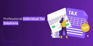 Professional Individual Tax Solutions